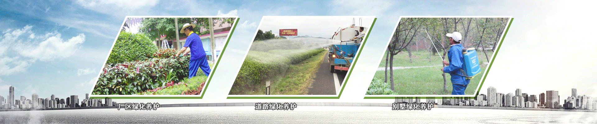 綠化養(yǎng)護(hù)